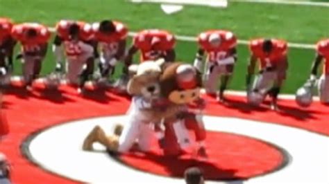 Ohio Mascots Fight on Football Field Video - ABC News