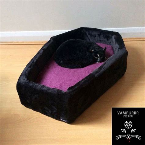 Punkpawsbrand coffin cat dog bed goth • gothic • pets • Wicca • Wiccan • vampire • vamp • black ...