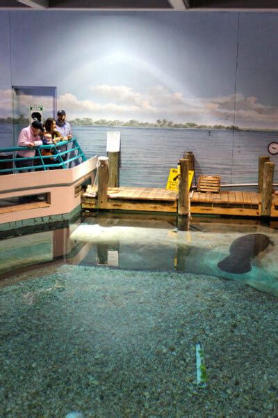 Parker Manatee Aquarium Bradenton, Florida attractions - Must Do ...