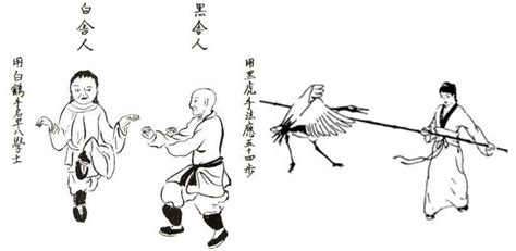 Wing Chun History and Origin | Ng Mui and Yim wing-chun