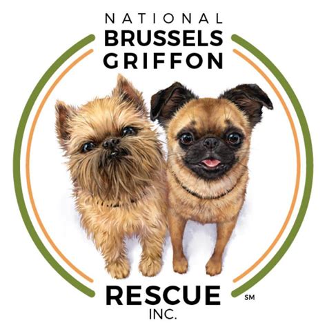 Find a Brussels Griffon - American Brussels Griffon Association