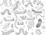 Inchworm Coloring Pages sketch template