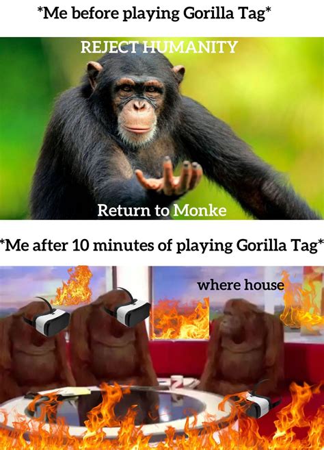 Gorilla Tag Memes : r/GorillaTag