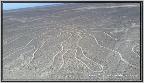 Nazca Geoglyphs of Hands and Tree from Observation Tower – Traveling Mark