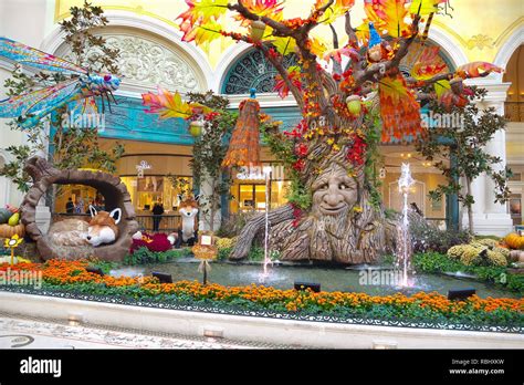 Fall in Bellagio Conservatory Stock Photo - Alamy