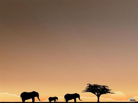 🔥 [50+] African Safari Wallpapers | WallpaperSafari