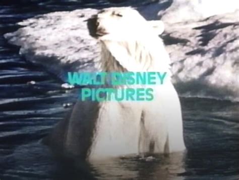 Snow Bear (1970) - IMDb