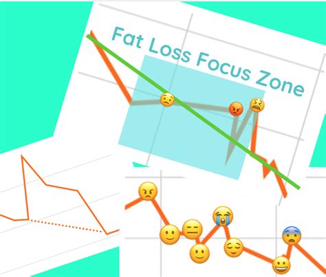 Real Weight Loss Progress Chart: What Weight Loss Actually Looks Like ...