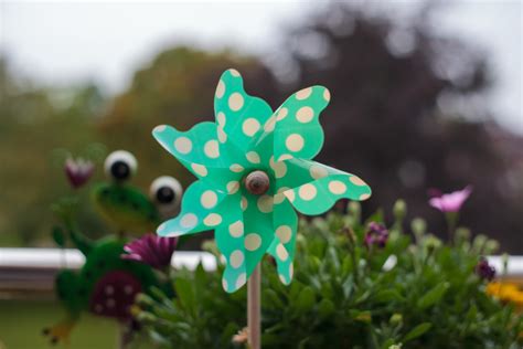 Green pinwheel - Photo #7091 - motosha | Free Stock Photos