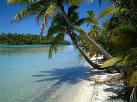 "One Foot Island" beach on Aitutaki, Cook Islands, Oceania شاطئ "جزيرة القدم الواحد" في ايتوتاكي ...