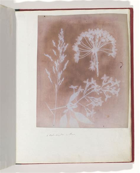 William Henry Fox Talbot and calotype – My reflective journal