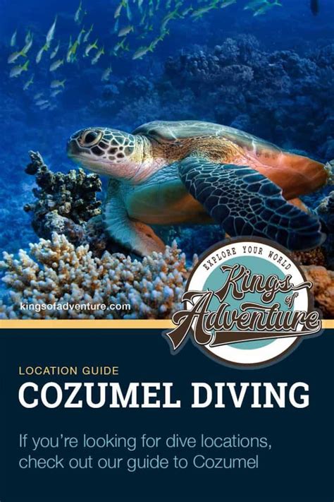 Cozumel Diving - A Scuba Diving Guide to The Best Sites