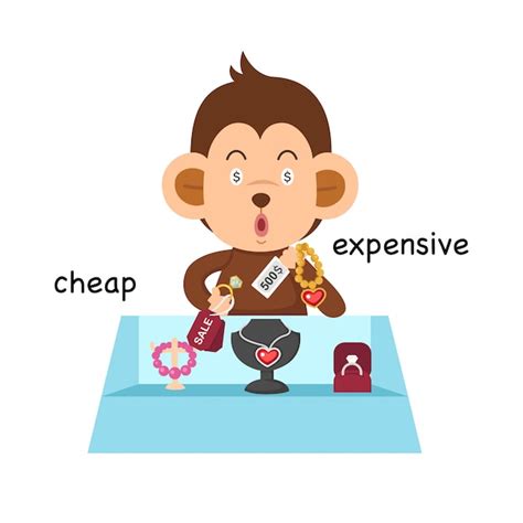 Premium Vector | Opposite cheap and expensive illustration