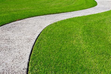 Zoysia Grass Care (The Ultimate Guide For Zoysiagrass) - Lawn Phix