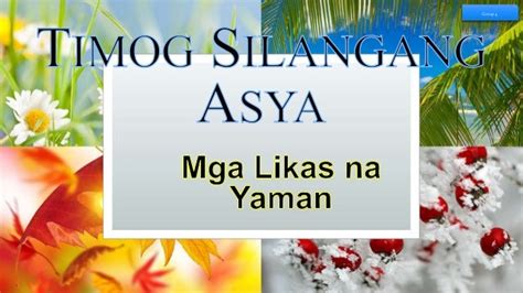 Likas na Yaman ng Timog Silangang Asya