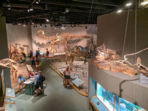 Your Guide to the Best Museums in Denver - Little Things Travel