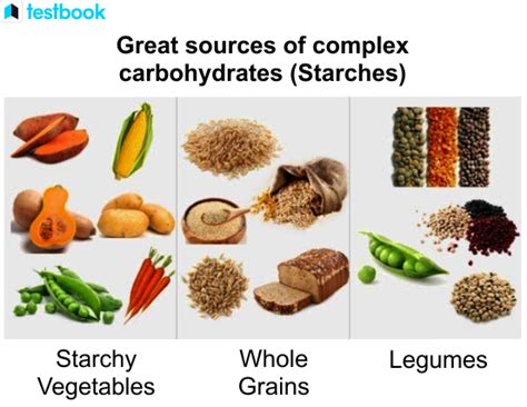 Complex Carbohydrates: Learn Definition, Structure and Examples