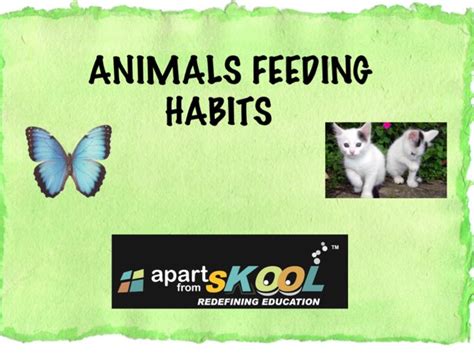 Animals Feeding Habits Free Games online for kids in Kindergarten by apart from sKOOL