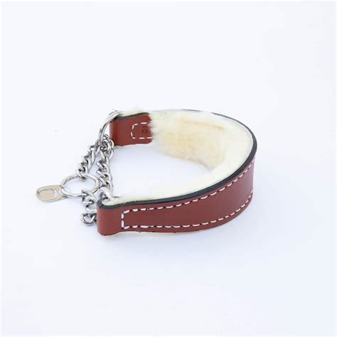 Italian Greyhound Tan Leather Wool-lined Martingale Collar – IGGY DOGWEAR