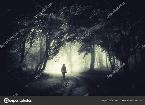 Man Walking Dark Forest Path Surreal Landscape Trees Mist Stock Photo ...