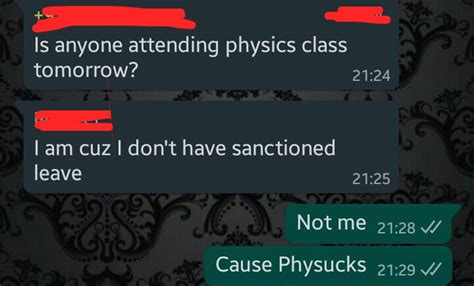 Who likes physics? : r/puns