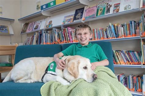 Guidance for introducing a dog to your school - Dogs for Good