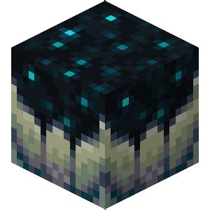 Sculk Block | Minecraft Wiki | Fandom