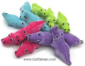 Turtle Max Reptile Gifts > Colorful Alligator Plush Toys (12)