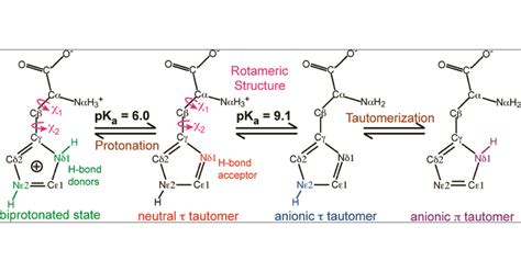 Histidine Structure At Ph 7