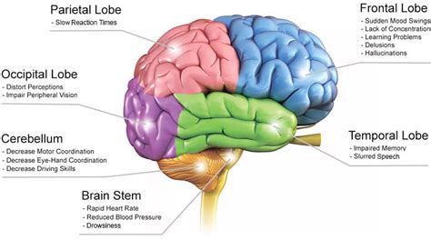 6 Worst Side Effects of Medical Marijuana on Mental Health