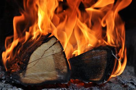 The wood burns on fire stock photo. Image of bonfire - 13560634