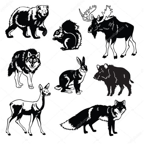 Download - Set of forest animals black and white — Stock Illustration ...