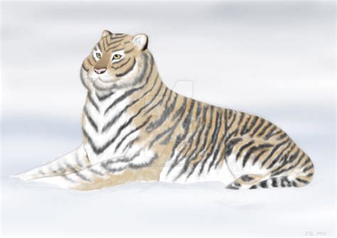 Tiger in the snow. by ArcherBlack on DeviantArt