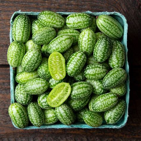 Organic Non-GMO Cucamelon Mexican Sour Gherkin