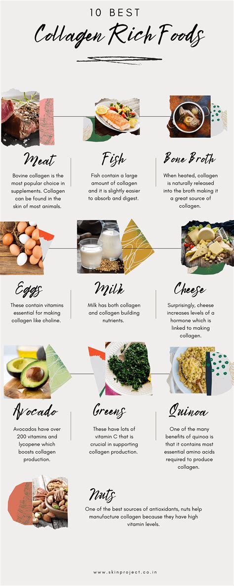 10 Best Collagen-Rich Foods [INFOGRAPHIC] - Infographic Plaza