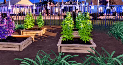 THE SIMS 4 BASEMENTAL DRUGS MOD WEED GROWING GUIDE – WICKED PIXXEL