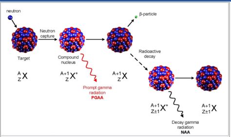 Neutron Activation Analysis - Forensic's blog