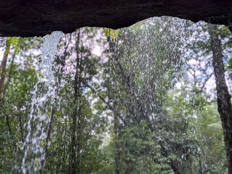 Horseshoe Falls Hazelbrook: A Stunning Blue Mountains Bushwalk With Glowworms