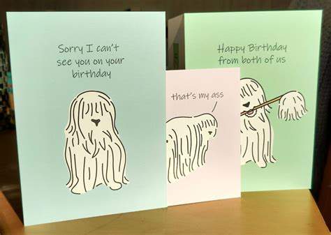 Funny animal birthday cards – Smug Toad