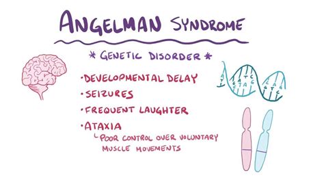 Angelman syndrome: Video, Anatomy & Definition | Osmosis