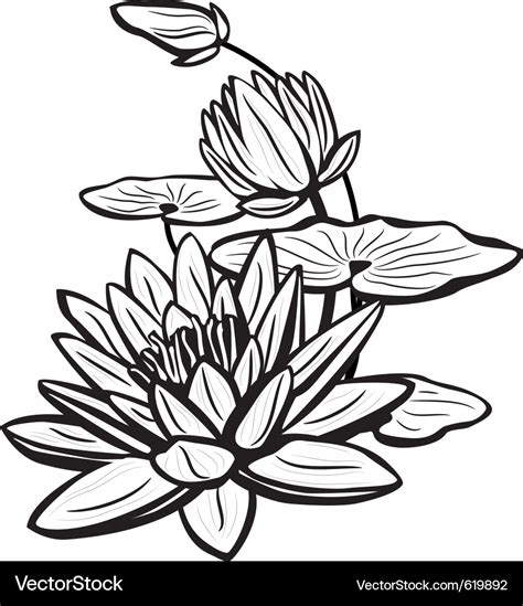 Lotus Flower Outline Drawing | Best Flower Site