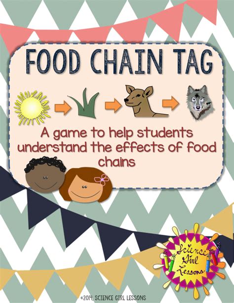 Food Chain Tag | Food chain, Food chain activities, Science education