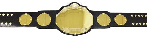 Fully Custom Championship Belt - Custom Title Belts - Undisputed Belts