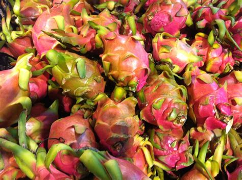 Dragon (Pitaya) Fruit - Nutritional And Health Benefits | HubPages