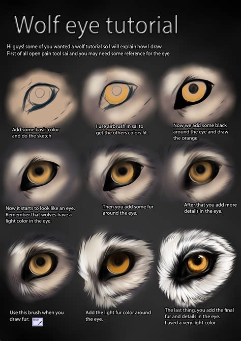 Wolf eye tutorial by TheMysticWolf on DeviantArt