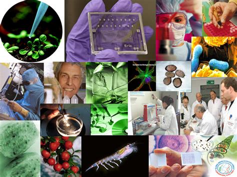 procesos biotecnologicos aplicados a la industria: biotecnologia industrial