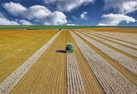 Harvesting Cotton Photograph by USDA Lance Cheung - Fine Art America