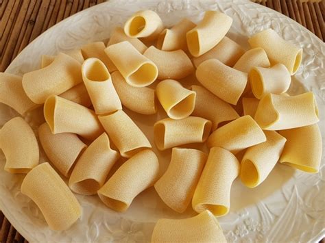 Paccheri pasta - The Pasta Project