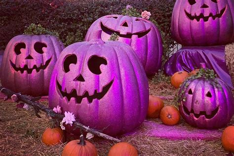 Why People Are Putting Out Purple Pumpkins This Halloween | Reader's Digest