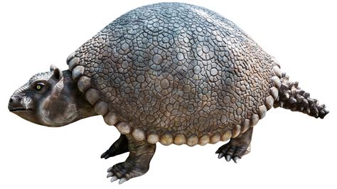 Facts About The Extinct Glyptodon, The Giant Armadillo - 247 News Around The World